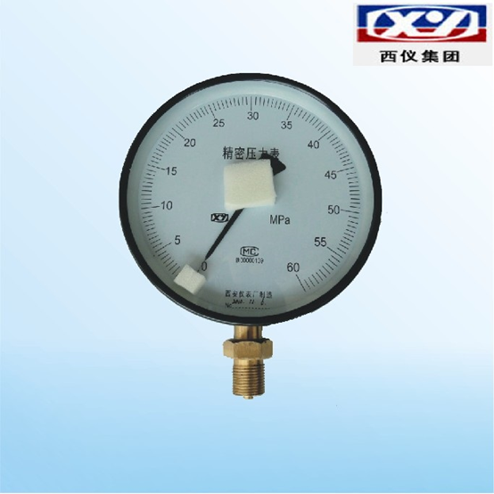 Precision Pressure Gauge YB150 (0.1-1MPa)