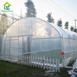China 8x30m Tomato Poly Tunnel Greenhouse 150-200micron Plastic Film Tomato Greenhouses wholesale