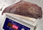 Giant Sea Squid Wing Cartilage Off Dosidicus Gigas Bqf Size 500-1000g