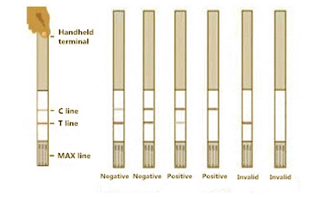 Nitrofuran AHD Rapid Test Strip For Tissue 96 Tests/Kit 0.5 Ppb