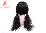 Transparent Human Lace Front Wigs