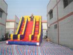 Giant Inflatable Sport Slide (CYSL-34)