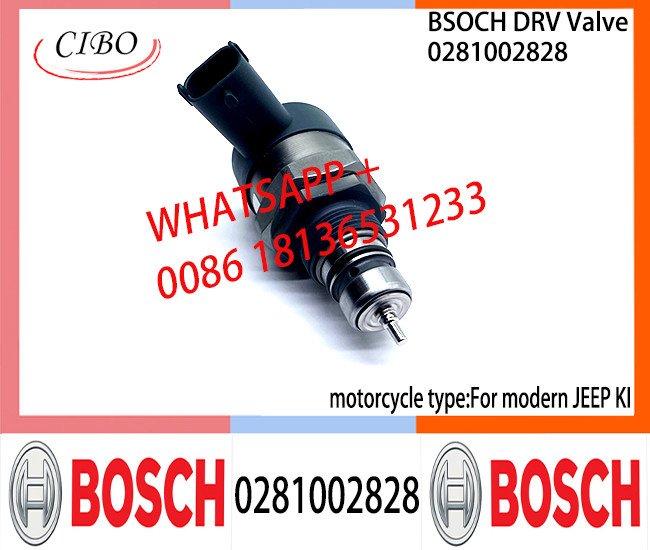 BOSCH DRV Valve 0281002828 Control Valve 0281002828 For modern JEEP KI