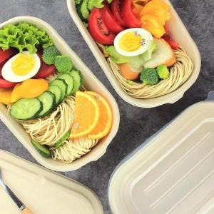 China Home Compostable Sugarcane Container Microwavable Meal Take Out Food Containers wholesale