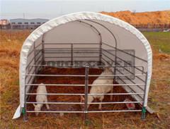 China Cattle Barns,3m(10') wide Livestock Barns,Housing wholesale