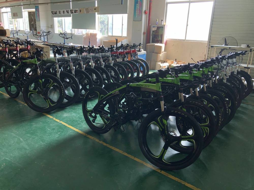 Smart Folding Electric Bike Battery 36v 250w 9.6ah Lithium Lunar Shape Richbit Top 880