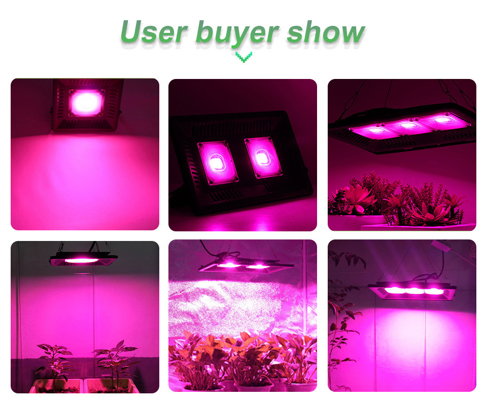 Full Spectrum Light Bar Module 150W IP65 Waterproof LED Grow Light