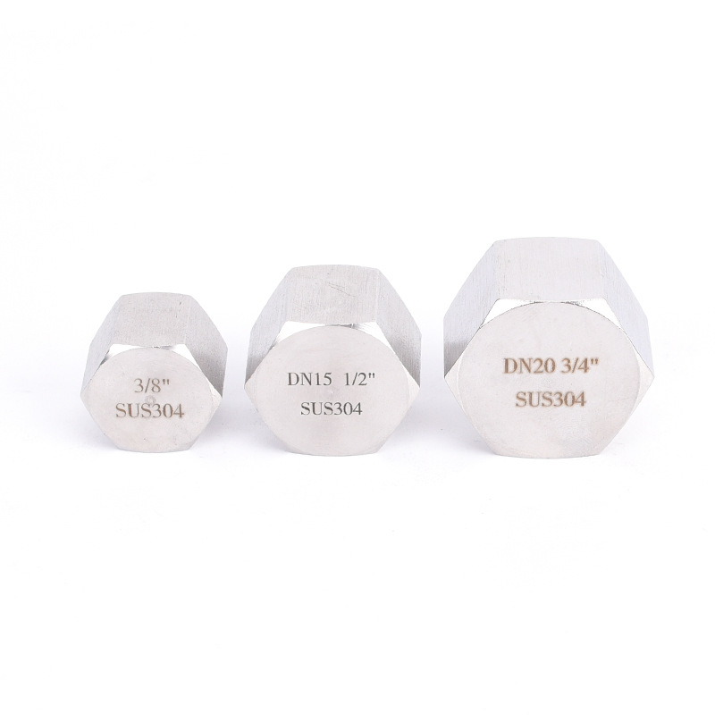 Durable Performance Stainless Steel 304/316 Screwed Hex Cap NPT/BSP Threaded Pipe Fitting in ANSI JIS DIN ASME Standard