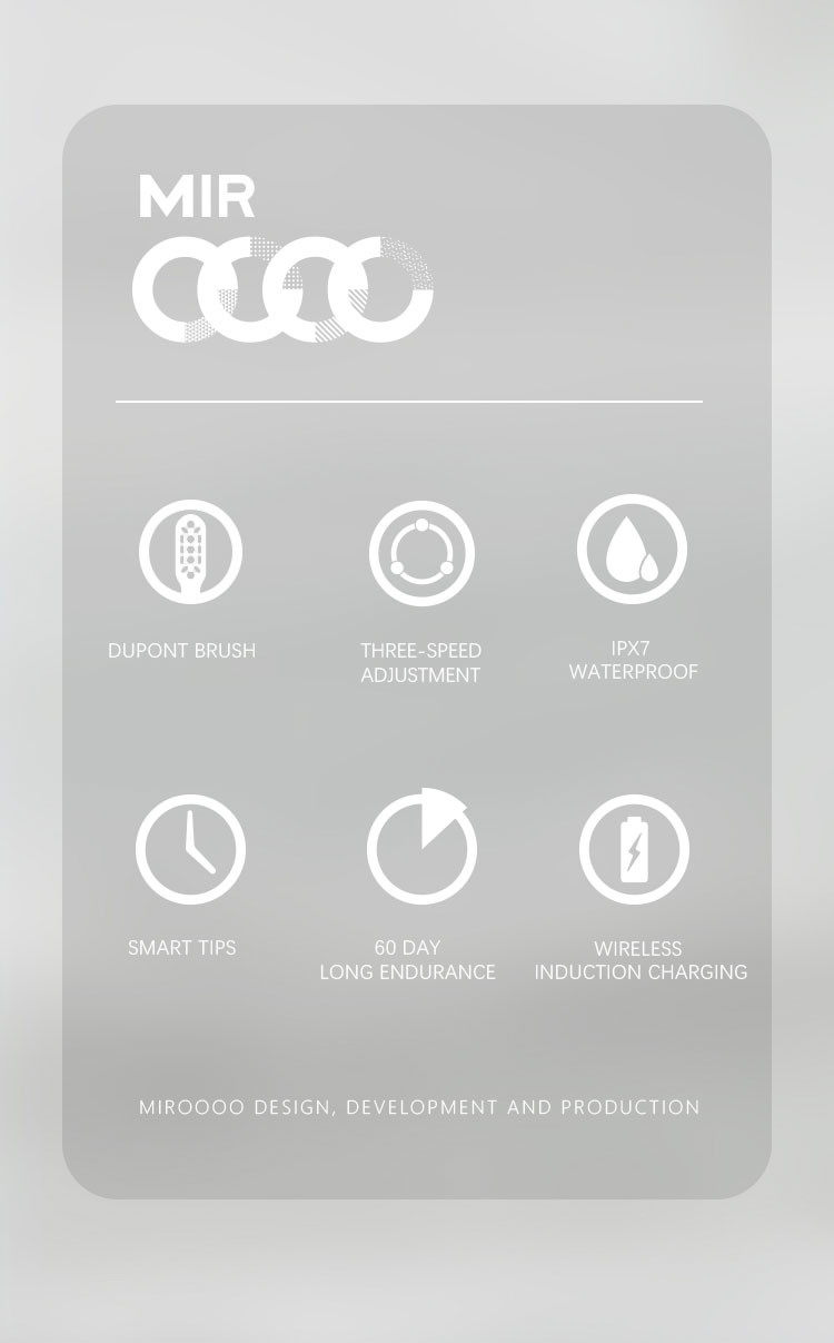 Custom LOGO Rechargeable Sonic Electric Toothbrush Battery Powered Waterproof