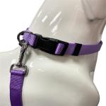 Neoprene Padded Pet Traction Rope Reflective Nylon Pet Dog Leash