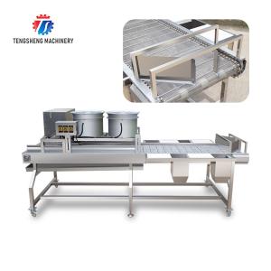 China 2KW Vegetable Processing Machine Stainless Steel Fruit Drying Selection Machine wholesale
