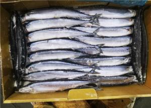 China 90g 100g Healthy Cololabis Saira Frozen Pacific Saury wholesale