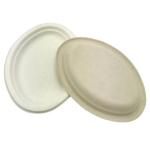 100 Compostable Oval Fruit Food Paper Bagasse Sugarcane Biodegradable Plates