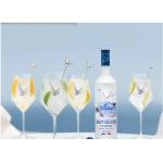 Party Vodka Reusable Plastic Wine Glasses White Blue Grey Goose Acrylic Glasses