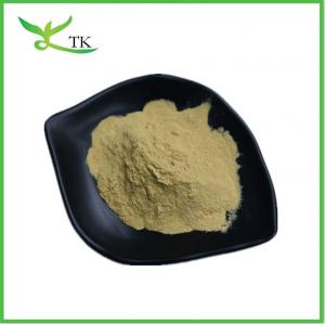 China Natural Jiaogulan Gynostemma Plant Extract Powder Gynostemma Pentaphyllum Gypenoside 80% on sale