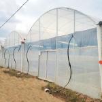 Turnkey Projects Installed Commercial Hydroponic Plastic Film Green House Multi