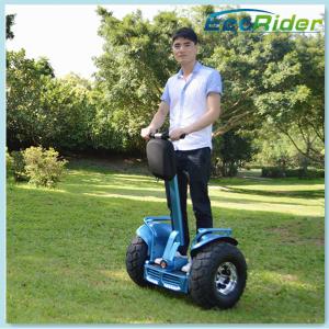 China 4000w 72v Balance Electric Chariot Scooter Off Roading Segway wholesale