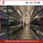Automatic Poultry Battery Cage System Layer Chicken Steel Cage Rose