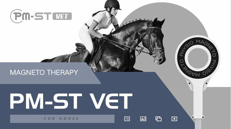 Equine Magneto Therapy EMTT PEMF Physiotherapy Machine For Muscle Swelling And Inflammation