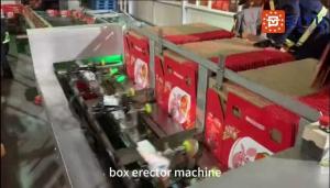 China Vertical Box Carton Erector Machine Automatic For Beverage Production Line wholesale