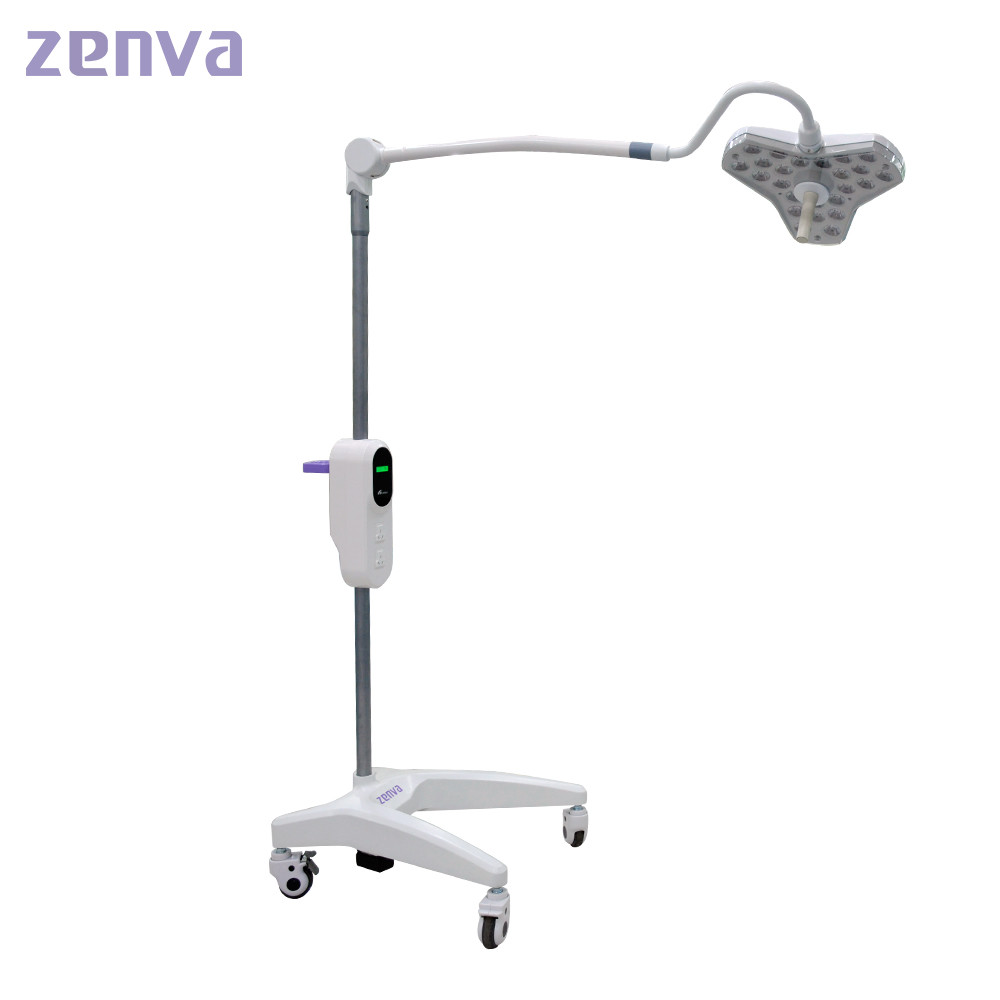 300mm Dia Health Beauty LED Examination Light For Hospital Clinic