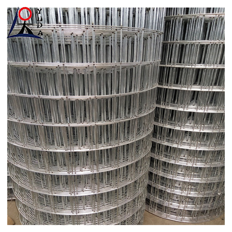 Galvanized Welded Wire Mesh Fence Rolls Aviary Rabbit Hutch Chicken Mesh