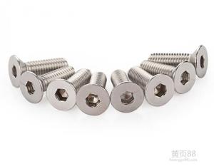 stainless steel bolt/screws