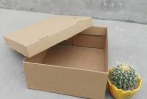 China Carton Box Packing Machine wholesale