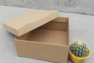 Carton Box Packing Machine