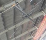 House Hanging 12FT 0.3KW High Volume Low Speed Fans
