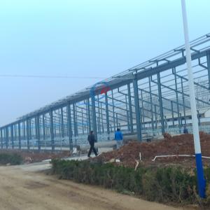 China Prefab Steel Structure Shed , Natural Ventilation Metal Shed Buildings wholesale