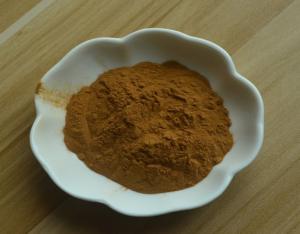 China 100% Natural 0.35% Isofraxidin HPLC/Sarcandra Glabra Extract powder wholesale