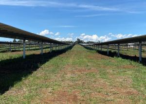 China Ground Photovoltaic Sun Tracking Solar Panel Mount Single Axis wholesale
