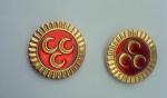 Metal pin, lapel pin, football pin, emblem, enamel badge, printing badge,