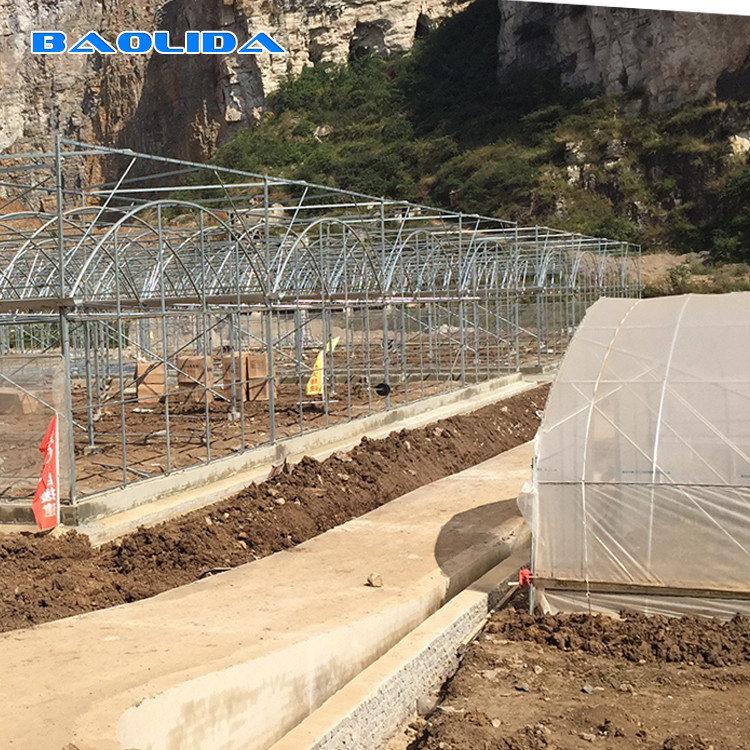 Vegetable Polyethylene Plastic Sheeting Greenhouse Galvanized Steel Frame