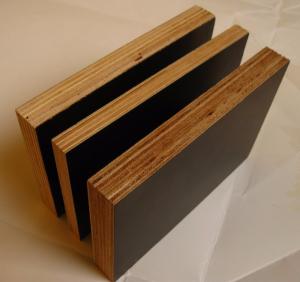 China WBP Melamine Eucalyptus Construction Timber Film Faced Plywood wholesale