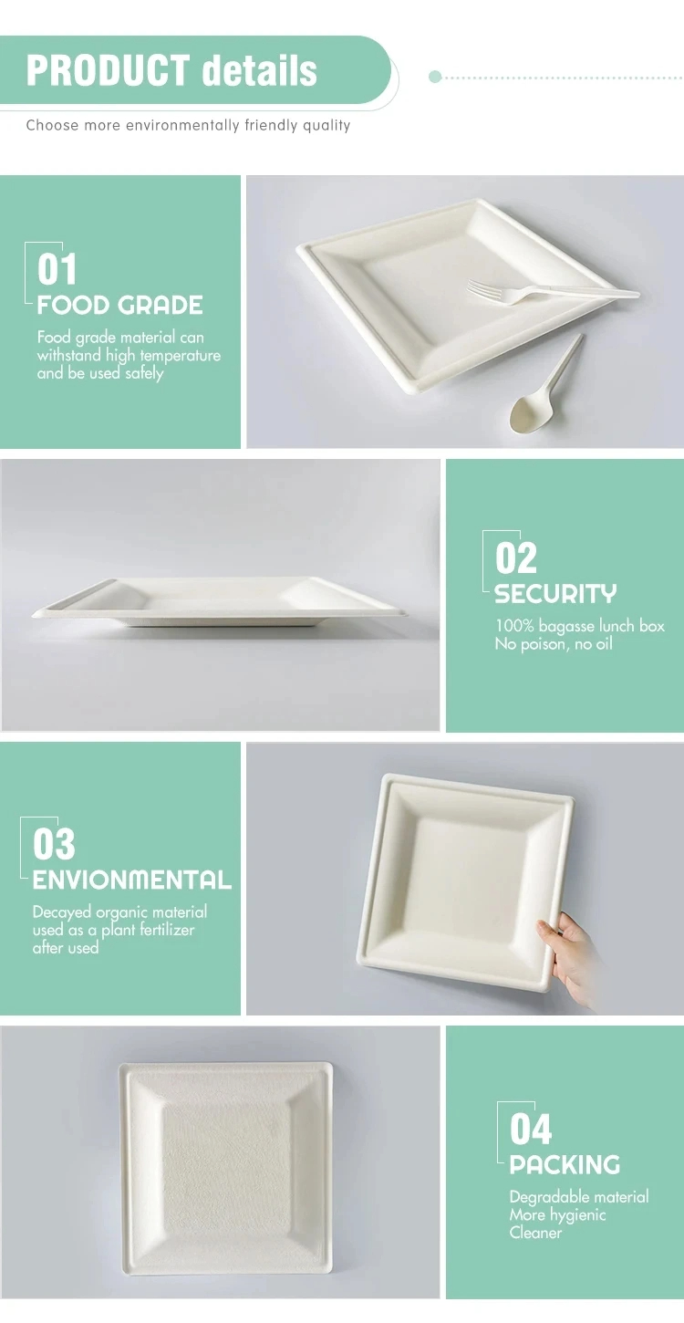 Takeaway Paper Containers Square Paper Plate For Takeout No Oil