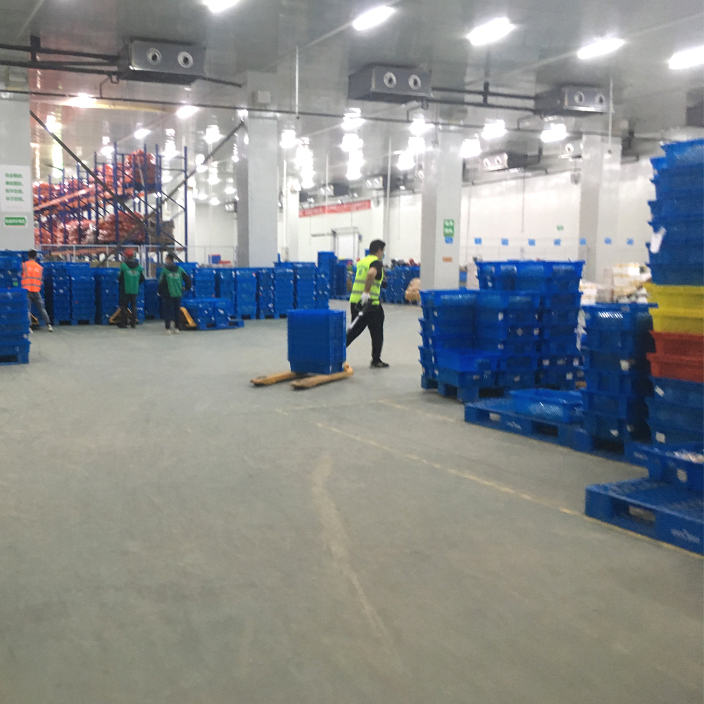 Plastic Moving Box Containers For Fruits Vegetables Internal Size 590x410x330mm