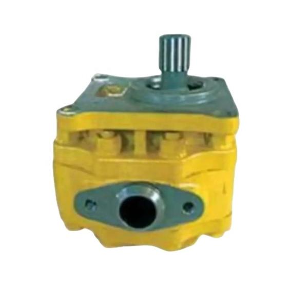 07430-72203 Komatsu Caterpillar Bulldozer Excavator Hydraulic Gear Pump 175-13