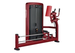 China Commercial Grade Pro Gym Equipment Glute Weight Stack Machine wholesale