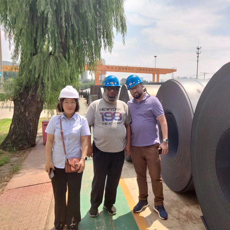 Galvanized Steel Coil Sheet Roll Industry Zinc Coated Stainless Steel Metal Sheets Aluminium for DX51D Z/SGCC/DC01 Z/DC51D Z