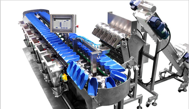 Conveyor Sortation Weight Sorter Machine 110V Multiweight Overturned Device