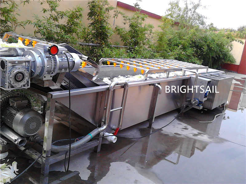 Industrial 1750 Capacity Fruit Vegetable SUS304 air Bubble Washing Machine