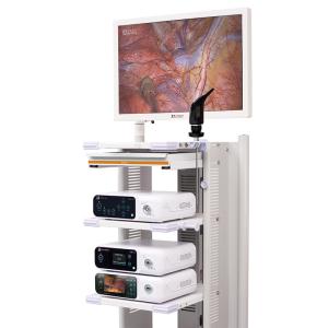 China Ultra 4K Endoscope Camera System Tower DJSXJ-IIb on sale