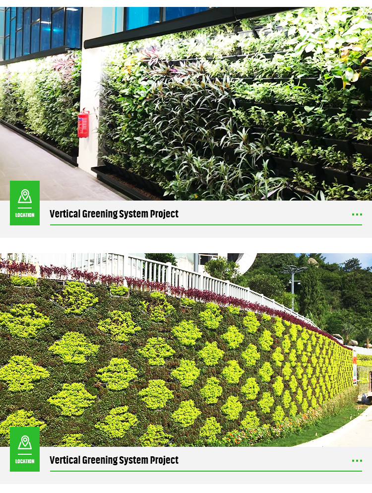 Flower Pot Vertical Garden Planter 12 per Square Meter for Indoor and Outdoor Spaces