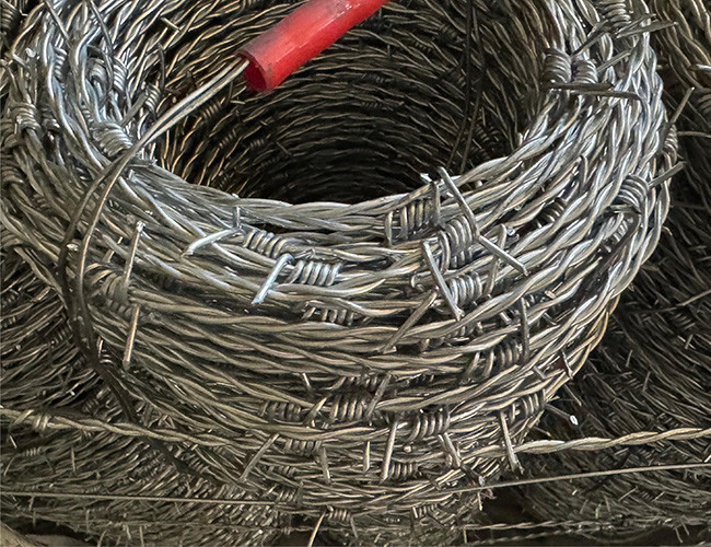 Farm Protection Double Strand Reverse Twist Stainless Steel Barbed Wire