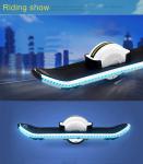 Easy ride OneWheel Electric Skateboard Hoverboard OW-01