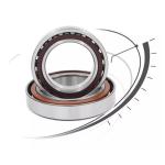 130btr10styndblp4a; 130btr10htyndblp4a Angular Contact Ball Bearings Telescopes