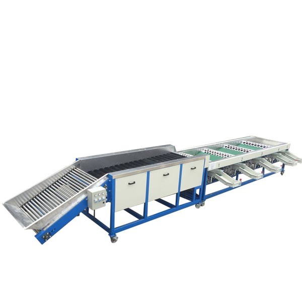 5-8 T / H Capacity Automatic Waxing Fruit Grading Machine