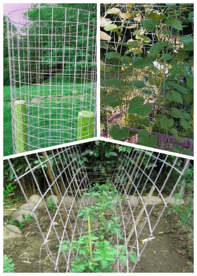 ISO9001 SS304 SS201 Plastic Coated Wire Mesh Panels For Support Of Plants